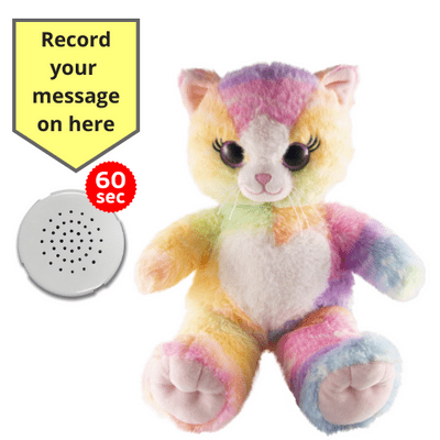 10 inch Rainbow Cat - Recordable Bear