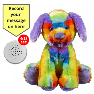 10 inch Rainbow Dog - Recordable Bear