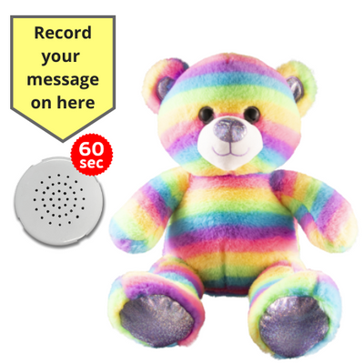 10 inch Rainbow Stripes Teddy - Recordable Bear - Baby Heartbeat Baby