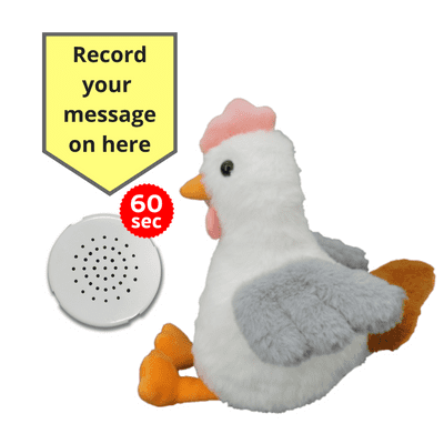 10 inch White Chicken - Recordable Bear