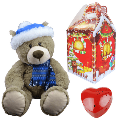 16 inch Adorable Christmas Teddy - Christmas 60 Second Recordable Bear