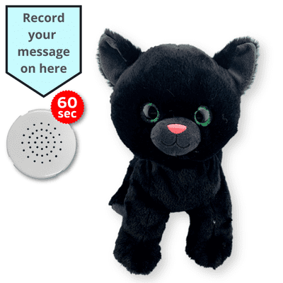 16 inch Black Cat - Voice Recording Teddy Bear