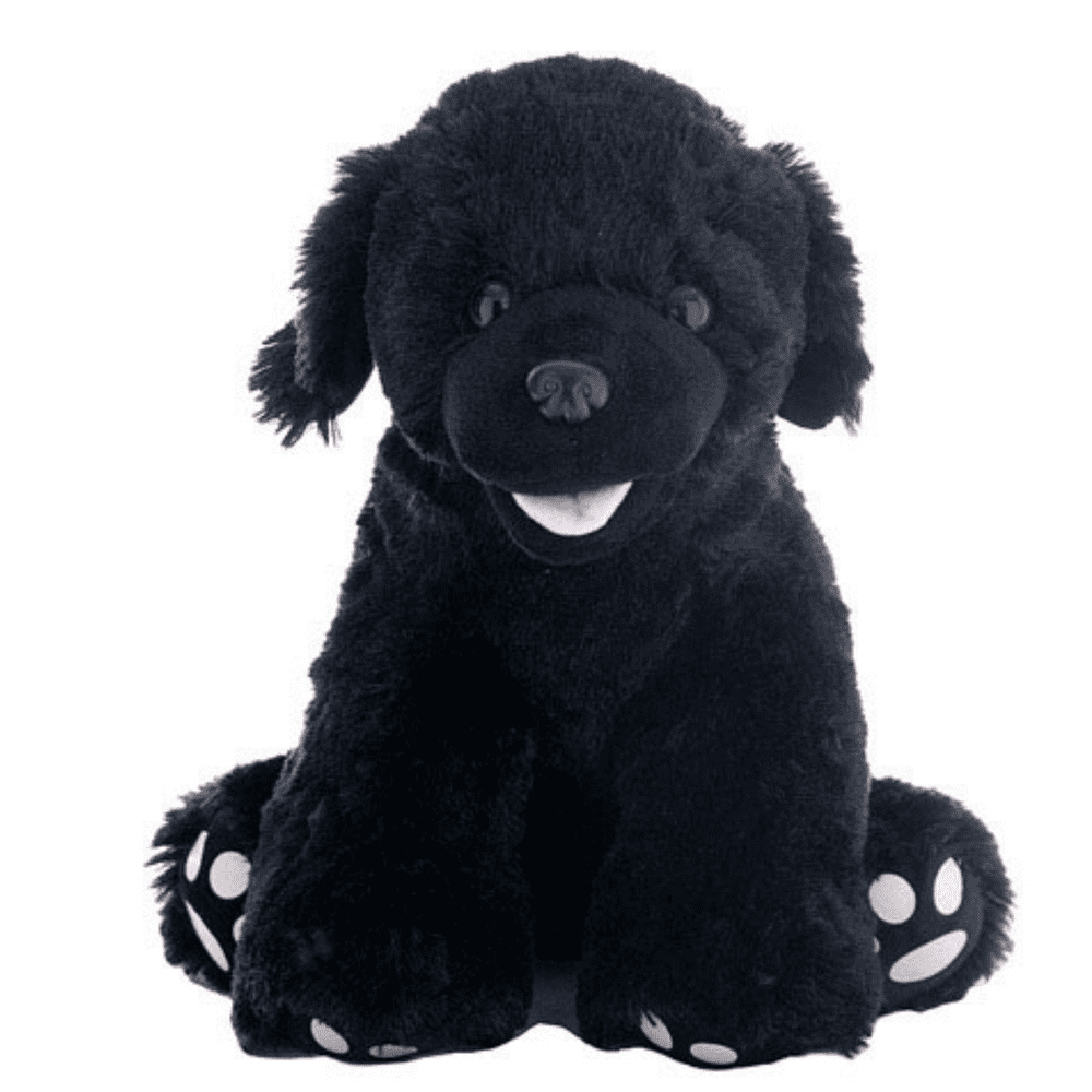 Black online labrador teddy