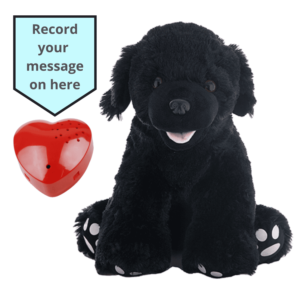 Black labrador cuddly toy online