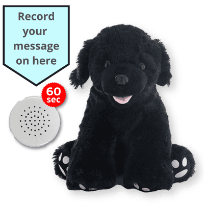 16 inch Black Labrador Dog - Voice Recording Teddy Bear