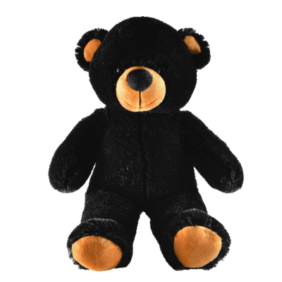 16 inch Black Teddy - Ready to Play