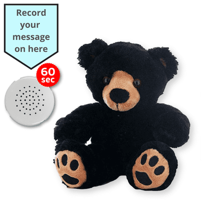 16 inch Black Teddy - Voice Recording Teddy Bear