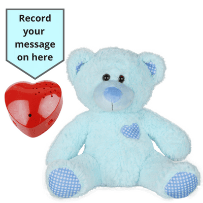 16 inch Blue Classic Teddy - Voice Recording Teddy Bear