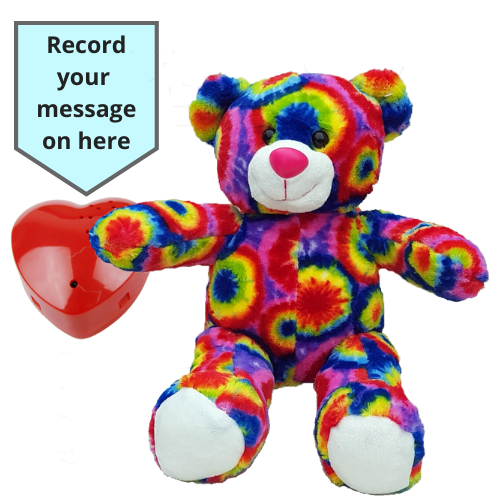 16 inch Bright Rainbow Teddy Voice Recording Teddy Bear