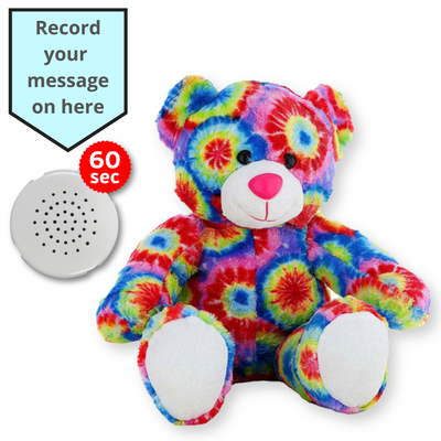16 inch Bright Rainbow Teddy - Voice Recording Teddy Bear