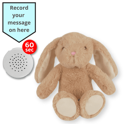 16 inch Brown Bunny - Voice Recording Teddy Bear