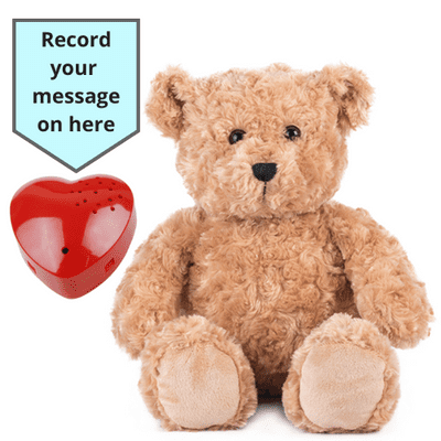 16 inch Brown Classic Teddy - Voice Recording Teddy Bear