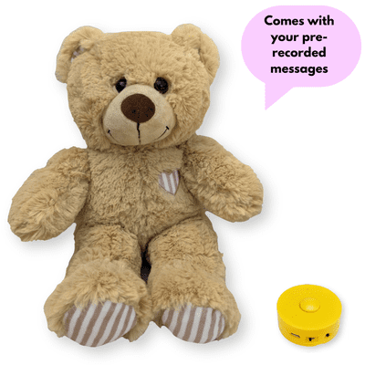 16 inch Brown Cuddles Teddy - Pre-Recorded Message Bear