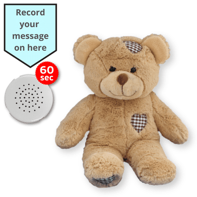 16 inch Brown Patch Teddy - Voice Recording Teddy Bear