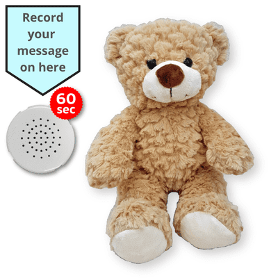 16 inch Brown Toffee Teddy - Voice Recording Teddy Bear