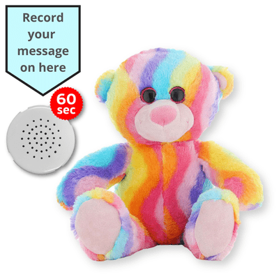 16 inch Bubblegum Teddy - Voice Recording Teddy Bear