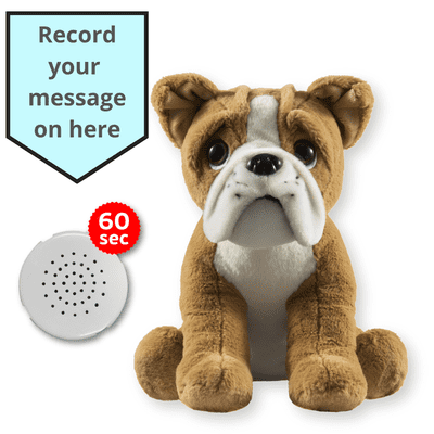 16 inch Bulldog Dog - Voice Recording Teddy Bear