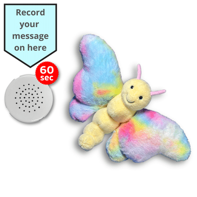 16 inch Butterfly - Voice Recording Teddy Bear