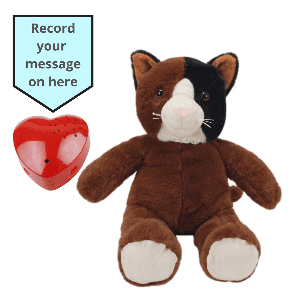 Stuffed animal with loved ones voice sales