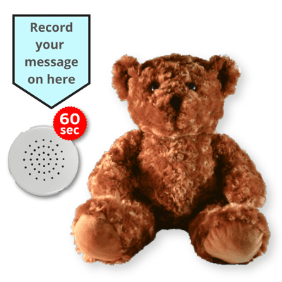 16 inch Chocolate the Teddy - Voice Recording Teddy Bear
