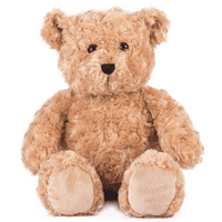 16 inch Classic Graduation Teddy Gift - Ready Dressed Bear