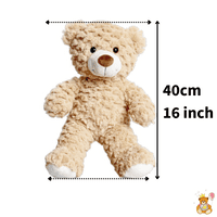 16 inch Classic Graduation Teddy Gift - Ready Dressed Bear