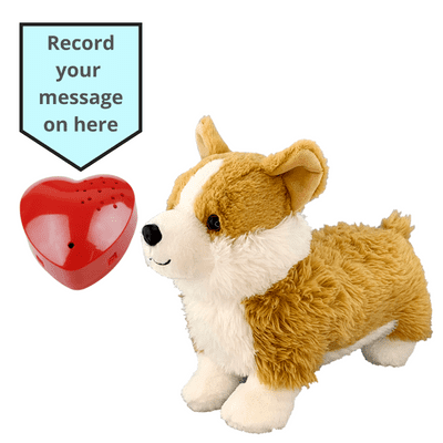 16 inch Corgi Dog - Voice Recording Teddy Bear