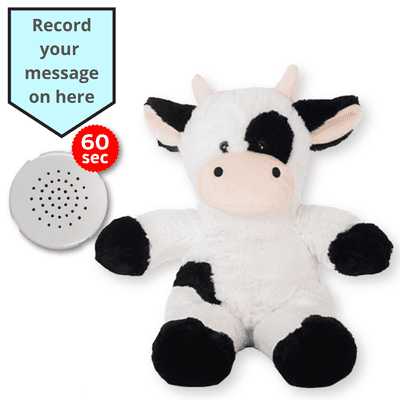 16 inch Cow - Voice Recording Teddy Bear