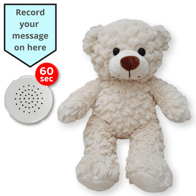 16 inch Crinkle Cream Teddy - Voice Recording Teddy Bear