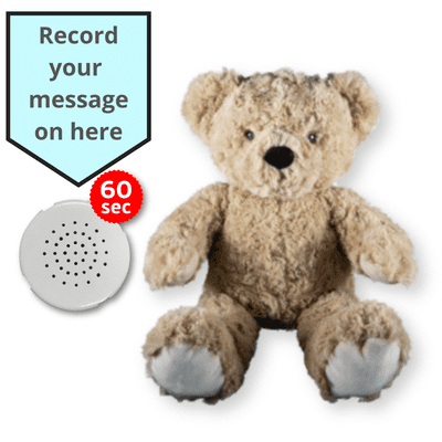 16 inch ECO Brown Teddy - Voice Recording Teddy Bear