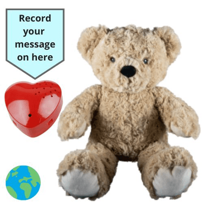 16 inch ECO Brown Teddy - Voice Recording Teddy Bear