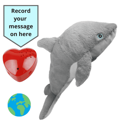 16 inch ECO Dolphin  - Voice Recording Teddy Bear