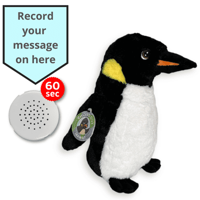 16 inch Eco Origins Penguin - Voice Recording Teddy Bear