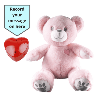 16 inch Eco Pink Teddy - 60 Second Recordable Bear