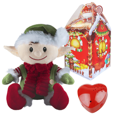 16 inch Elf - Christmas 60 Second Recordable Bear