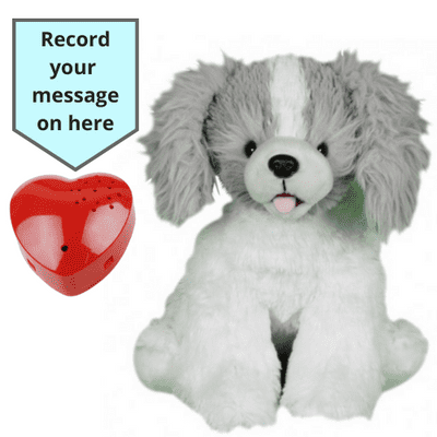 16 inch Fixy the Dog - Voice Recording Teddy Bear