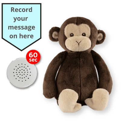 16 inch Flopsy Monkey - Voice Recording Teddy Bear