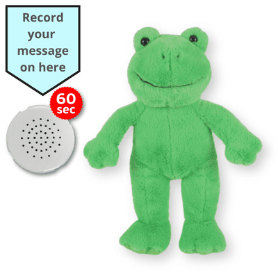 16 inch Frog - Voice Recording Teddy Bear