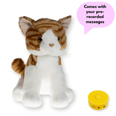 16 inch Ginger Tabby Cat - Pre-Recorded Message Bear