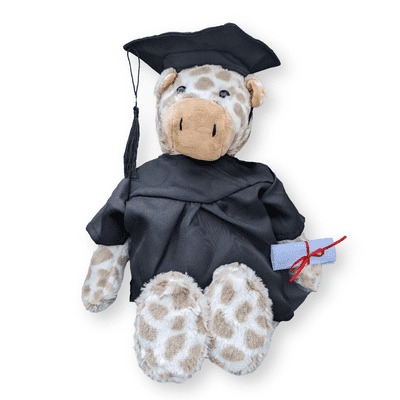 16 inch Giraffe Graduation Teddy Gift - Ready Dressed Bear