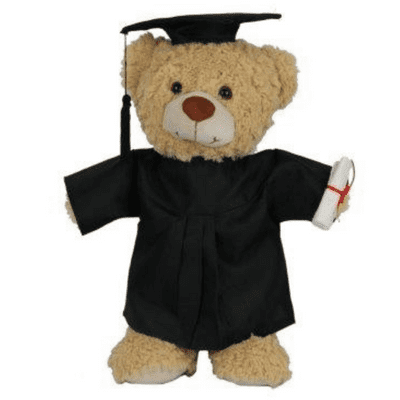 16 inch Graduation Toffee the Teddy - Graduation Gift Set - Ready to Play
