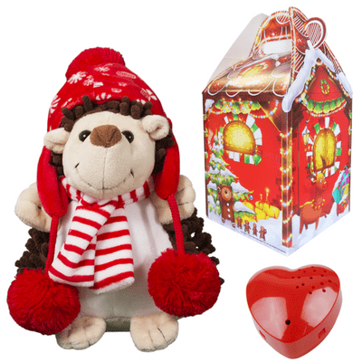 16 inch Hedgehog - Christmas 60 Second Recordable Bear