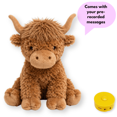16 inch Highland Cow - Pre-Recorded Message Bear
