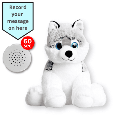 16 inch Husky Dog - Voice Recording Teddy Bear