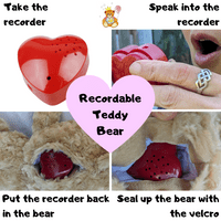 16 inch Koala - Voice Recording Teddy Bear