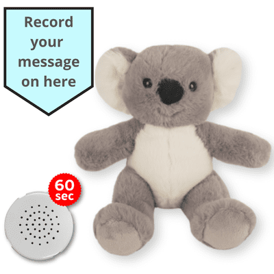16 inch Koala - Voice Recording Teddy Bear