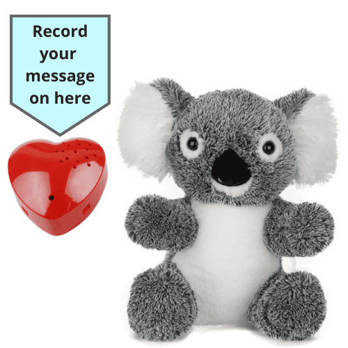 16 inch Koala - Voice Recording Teddy Bear