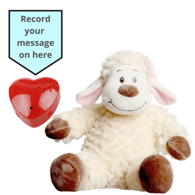 16 inch Lamb - Voice Recording Teddy Bear
