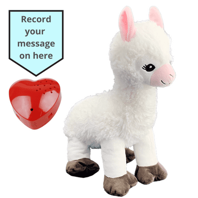 16 inch Llama - Voice Recording Teddy Bear