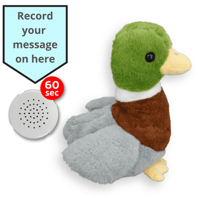 16 inch Mallard Duck - Voice Recording Teddy Bear